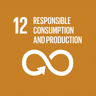 12. Responsible, Consumption and Production