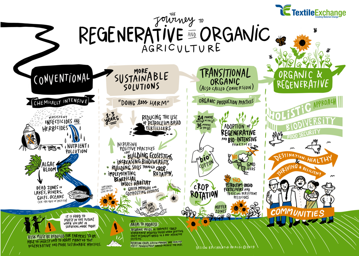 Journey-to-Regenerative-Agriculture_Carlotta Journey-to-Regenerative-Agriculture_Carlotta